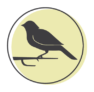 A representation of a bird on a green circle