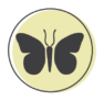 A representation of a butterfly on a green circle