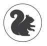 A representation of a squirrel
