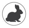 A representation of a rabbit