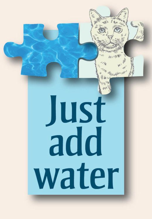 Just Add Water text with cat and water puzzle pieces