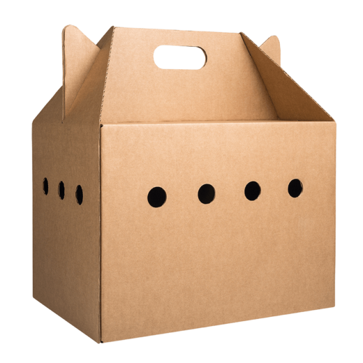 A cardboard cat carrier