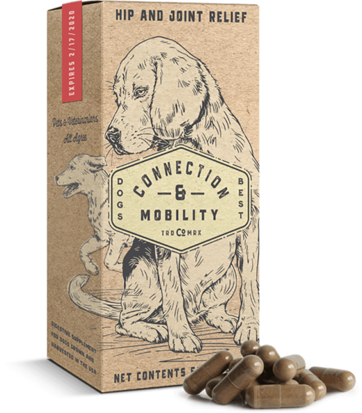 A conceptual packaging for a dog supplement