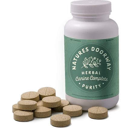 A photographic concept of a supplement bottle next to supplements in a tablet form.