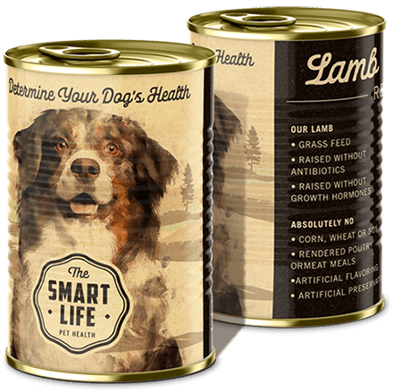 A photographic concept of canned dog good