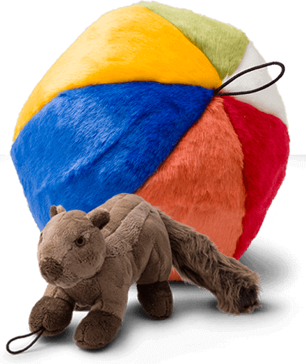 A plush dog toy that looks like a colorful beach ball and a plush toy in the shape of a squirrel