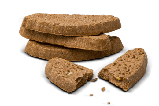Dog biscuits in the shape of biscotti