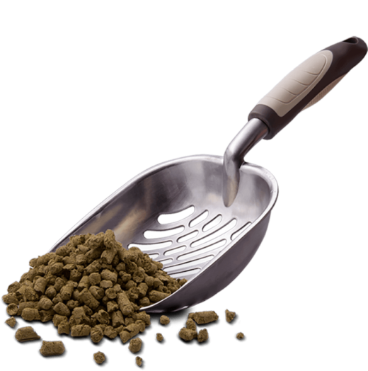 A cat litter scoop next to a small pile of cat litter