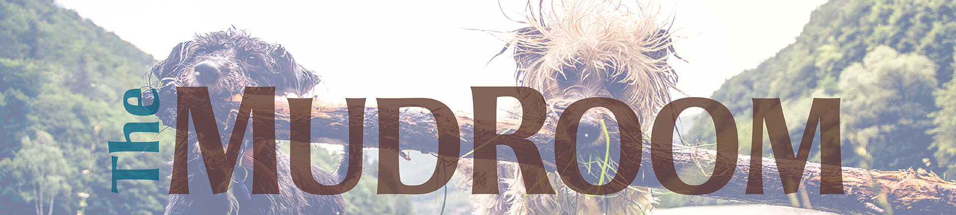 Banner Image with Mud Room Logo and two wed dogs carrying a stick