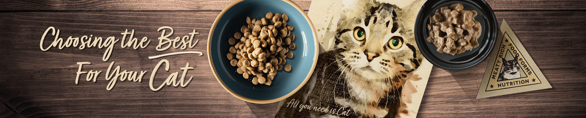 Choosing the Best for Your Cat