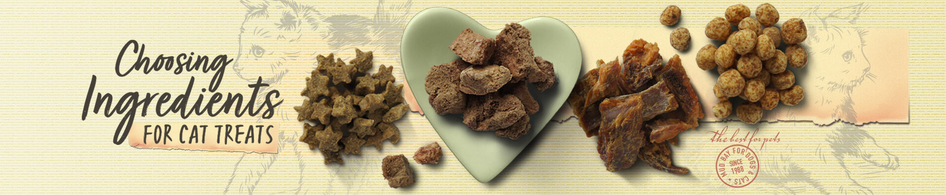 Choosing Ingredients for Cat Treats