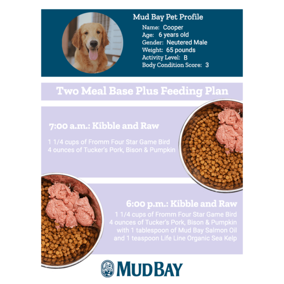 Image of Two Meal Base Plus Feeding Plan