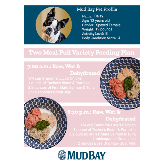 Two Meal Full Variety Feeding Plan for Dogs