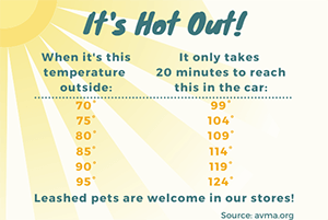 It's Hot Out Graphic