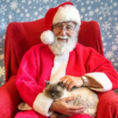 Santa holding cat