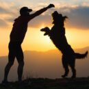A man giving his dog a treat outdoors silhouetted agains a sunset