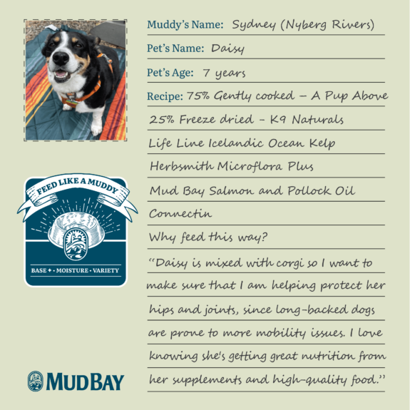 An image that shows the way syndey from mud bay nyberg rivers feeds her cat daisy