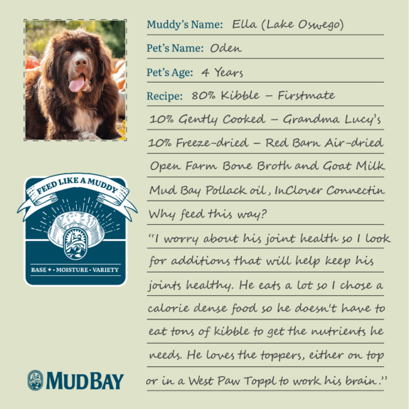 An image that shows the way ella at mud bay lake oswego feeds her dog oden.